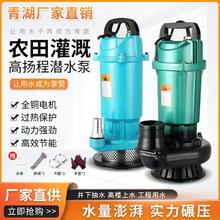 台州青湖潜水泵220V380V清水泵农用灌溉泵家用大流量高扬程抽水泵