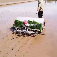 便携式乘坐水稻插秧机农作物秧苗插秧机栽植机小型农用水田栽苗机