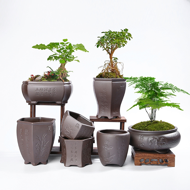 盆景兰花专用盆多肉盆陶瓷大量批发紫砂大口径兰花花盆君子肉植物兰花