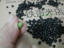 【10斤】农家自产新货东北黑龙江五常杂粮绿芯心仁豆浆黑豆