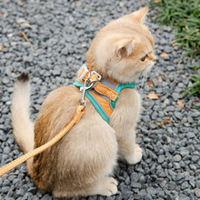 猫咪牵引绳防挣脱外出遛猫绳溜猫链子宠物胸背带猫绳子小型犬偶