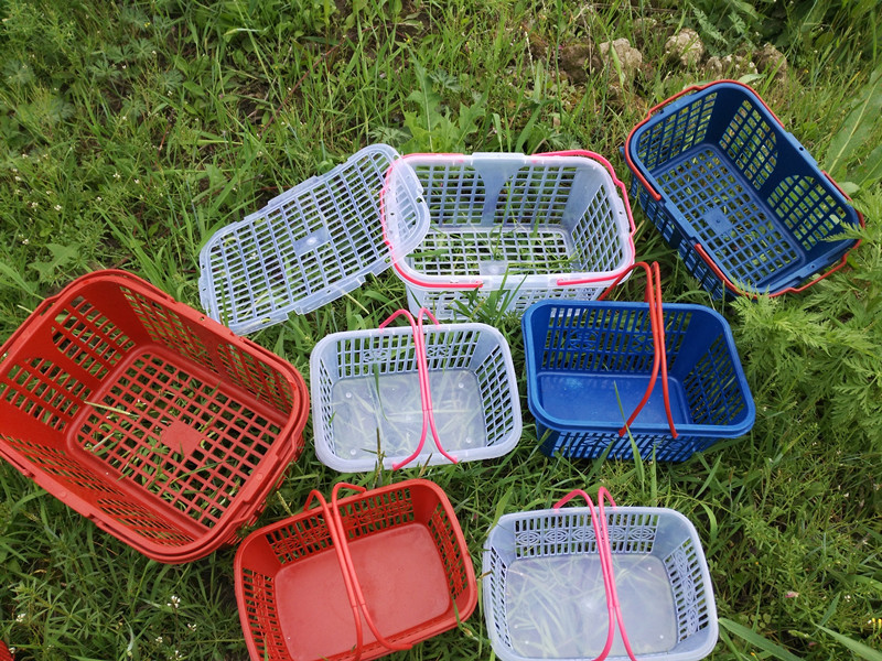 杨梅篮 塑料水果篮  草莓篮子2斤3斤4斤5斤6斤8斤10斤樱桃 桑葚篮