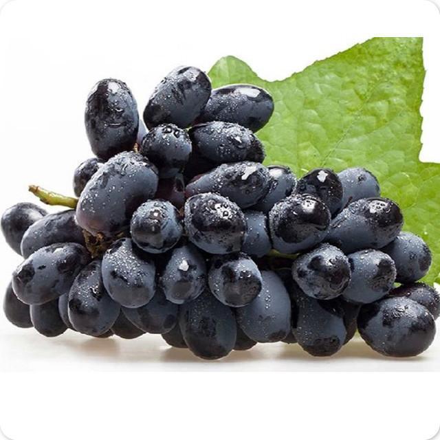 无籽黑提脆甜新鲜水果当季孕妇水果黑加仑提子一整箱批发非夏黑