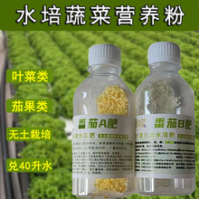 水培营养液无土栽培蔬菜生菜油麦菜空心菜黄瓜番茄草莓水耕营养粉