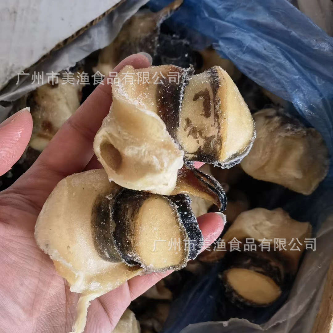 西非海螺头 美国刺身 大海螺肉 刺身大海螺肉响螺头m/l码 15kg/件