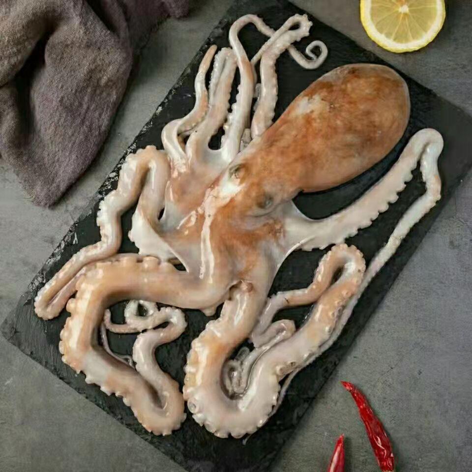 网红爆头八爪鱼鲜活速冻长腿八爪鱼长腿章鱼鲜活海鲜冷冻水产批发