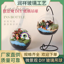 创意苔藓多肉植物微景观圆生态高硼硅玻璃 吊球花盆栽DIY材料透明