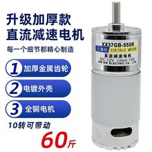 直流减速电机12V24伏微型齿轮机慢速有刷正反转电动机调速小马达