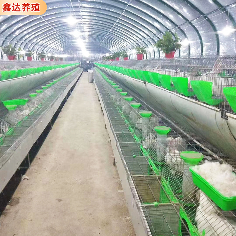 欧式兔笼 养兔设备厂家供应鑫达兔笼质量保障 兔笼厂家 阶梯笼