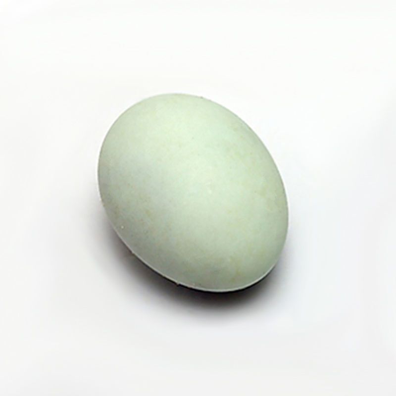 欧洲柯尔鸭callduck受精蛋科尔鸭蛋进口宠物鸭种蛋幼崽纯种长不大