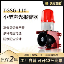 TGSG-110工业声光报警器 声光一体 LED声光报警器 220v 24v