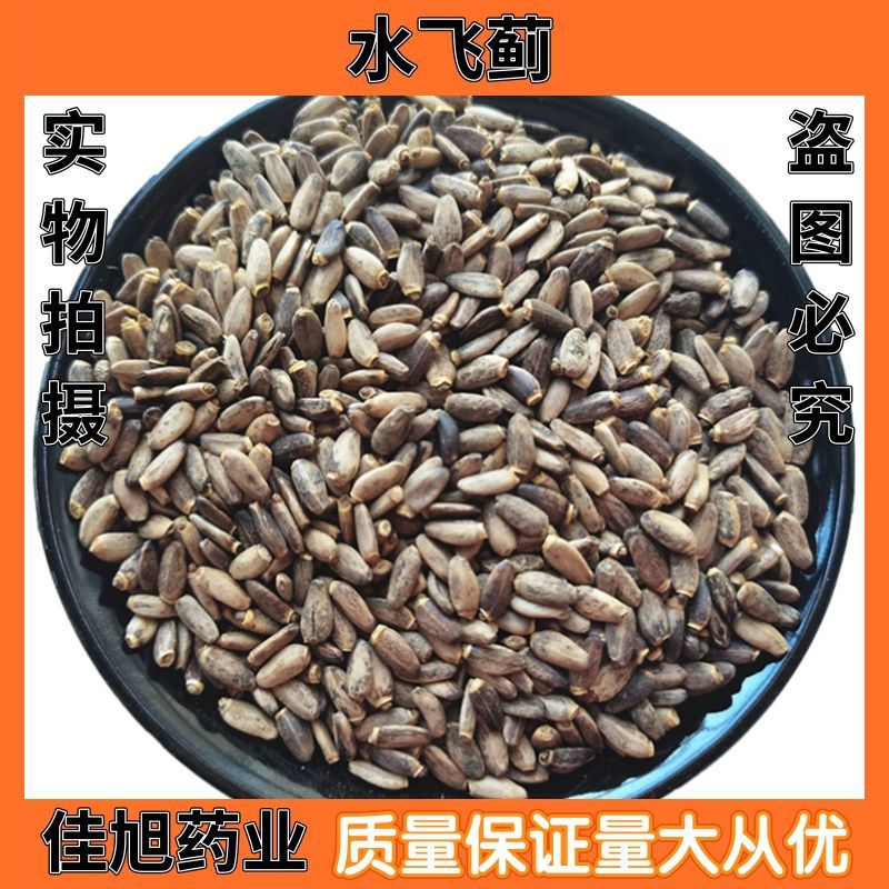 一件代发水飞蓟水飞蓟籽水飞蓟子奶蓟手工挑拣新货可打粉-阿里巴巴