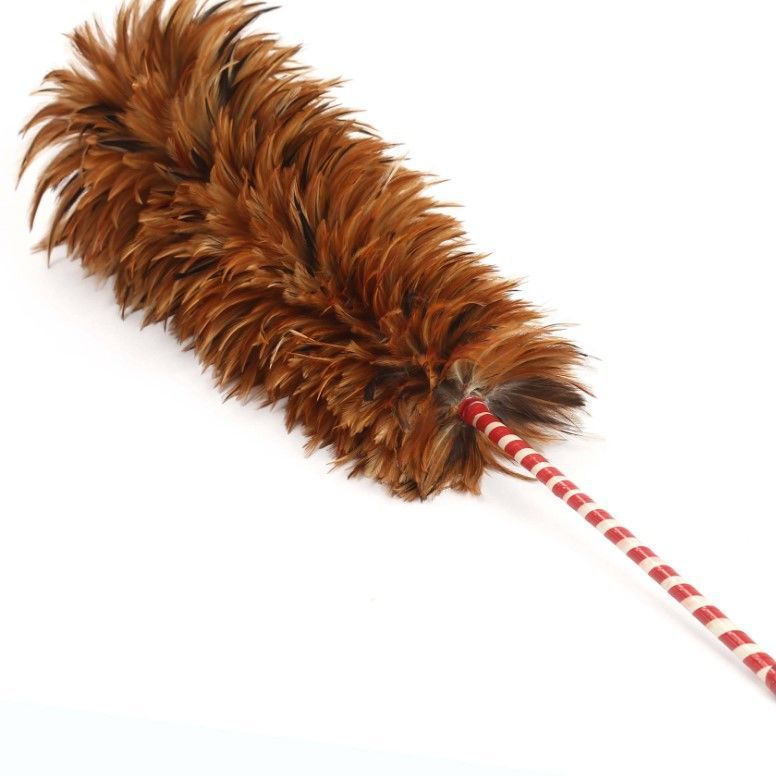 鸡毛掸子鸡毛扫装修包邮家用车用不掉毛