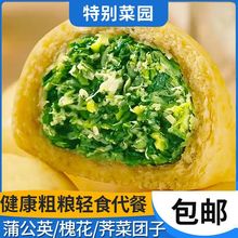 黄金蒲公英/荠菜/槐花菜团子五谷杂粮营养早餐包速食素菜