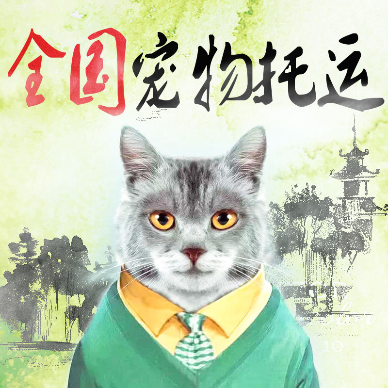 宠物托运服务顺丰空运猫咪随机广州深圳成都狗猫运输快递狗狗