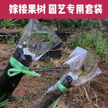 嫁接专用套袋透明透光果树保温保湿袋园艺花木树苗盆栽塑料密封袋