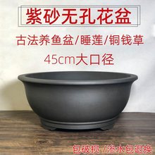 水养植物无孔紫砂盆铜钱草碗莲盆青鳉鱼盆假山盆菖蒲盆古法养鱼盆