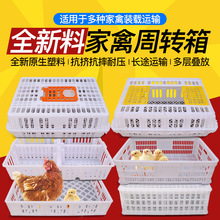 鸭苗大号周转箱塑料笼家用鸡笼鸡鸭鹅分格长方形框养殖家禽兔笼用