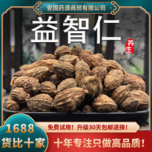 益智仁中药材益智仁子米大颗粒茶搭菟丝子远志伸筋草泡水免费打粉