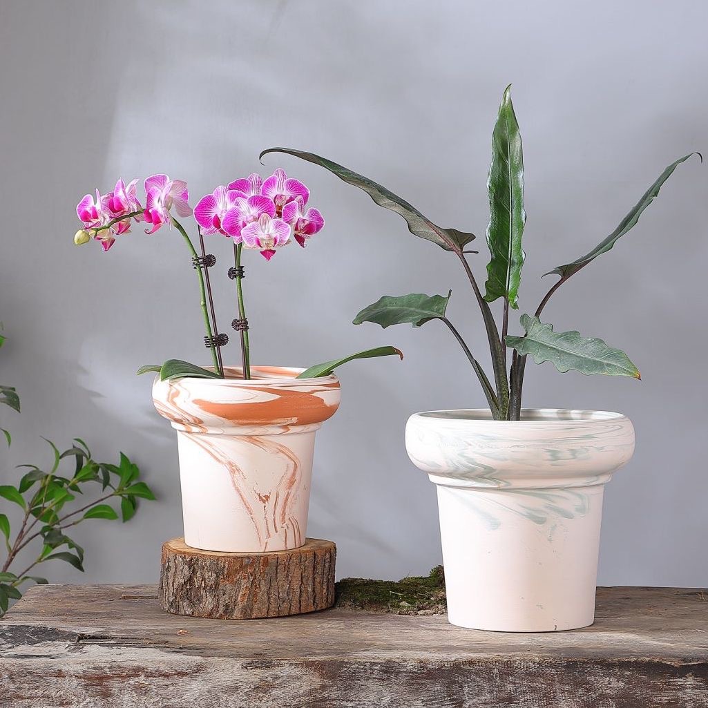 北欧天然陶土透气玛奇朵花盆兰花蝴蝶兰专用绿植蕨类盆