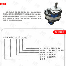 液压油泵CB-Fc10/16/20/25/32/40/50/80高压齿轮泵液压站总配件