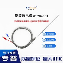 WRNK-191铠装热电偶 可弯曲探针式热电阻 耐高温1100炉温检测探头