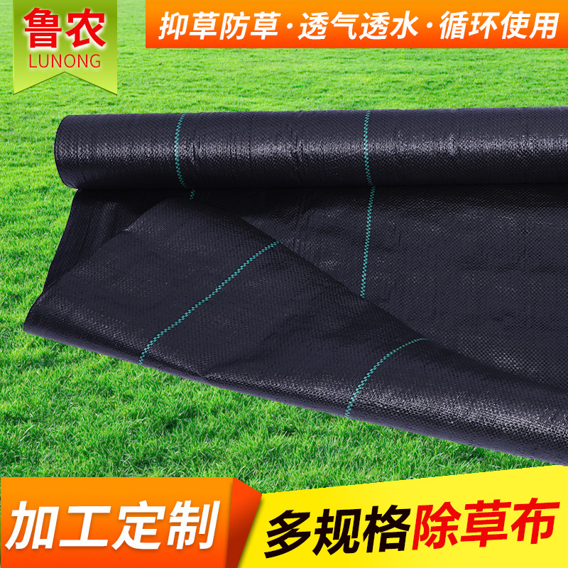 Lunong Pp Polyester Fiber Anti-Grass Ground Cloth Agricultural Greenhouse Plastic Weeding Cloth Garden Weed Barrier Anti-Grass Cloth Wholesale