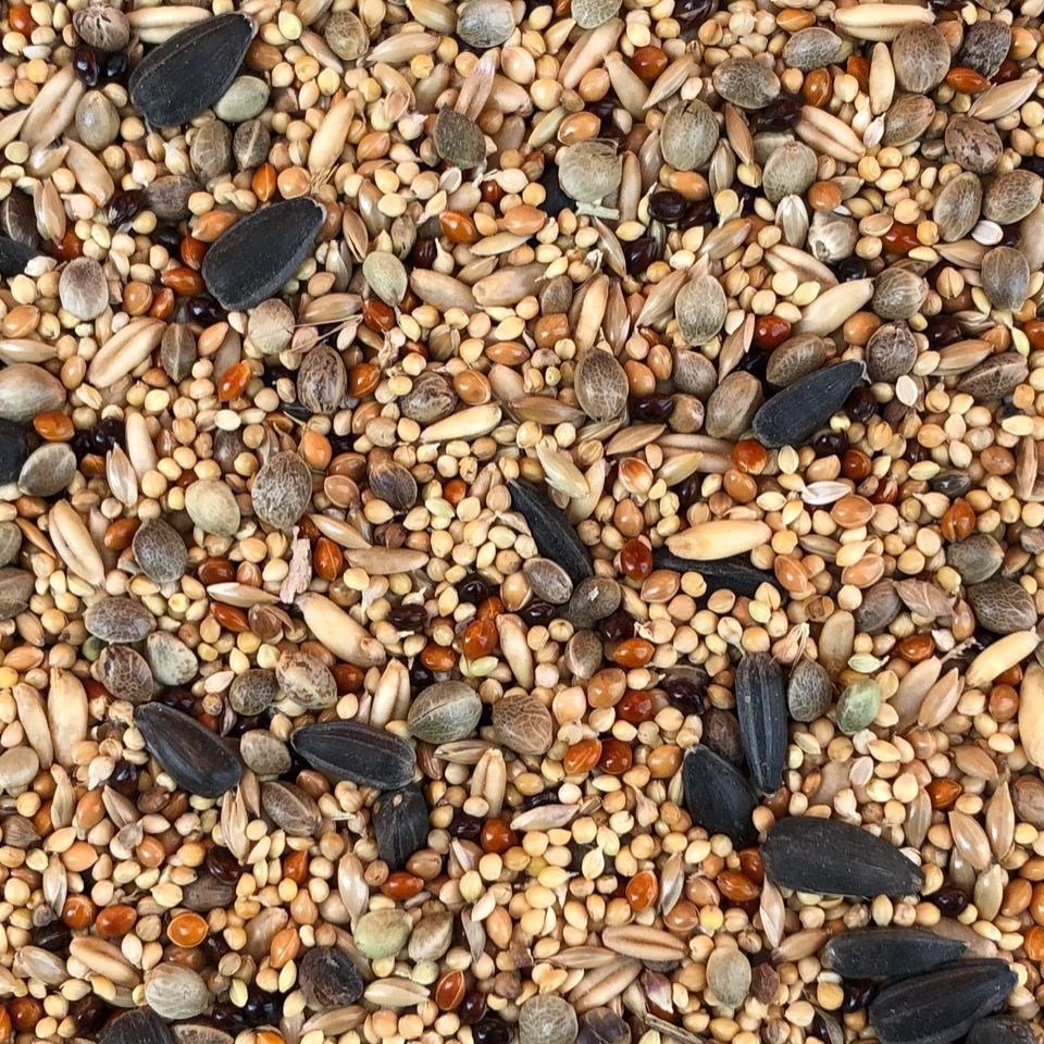 【燕麦粮】-燕麦粮厂家,品牌,图片,热帖-阿里巴巴