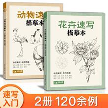 2本动物速写描摹本+花卉速写临摹手绘零基础画画入门新手自学教程