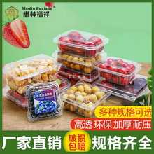 一次性透明500克水果塑料盒有盖保鲜蔬菜草莓打包盒分格100个批发