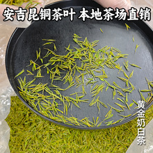 安吉奶白茶黄金芽昆铜本地茶叶2025年新茶皇金芽熊猫白茶散茶批发