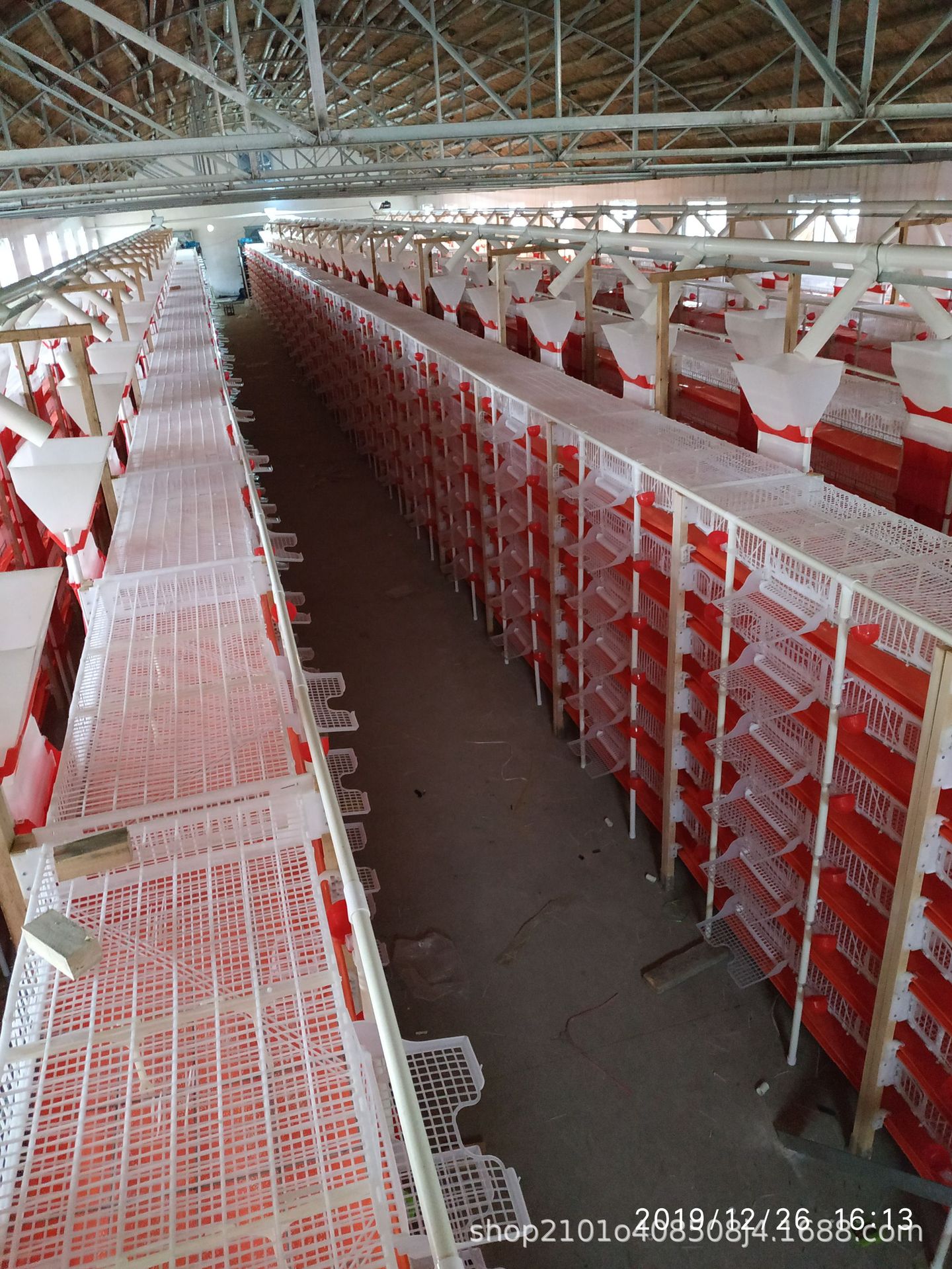 厂家直供塑料鹌鹑笼,鹌鹑蛋破损率低,提高效益自动化养殖