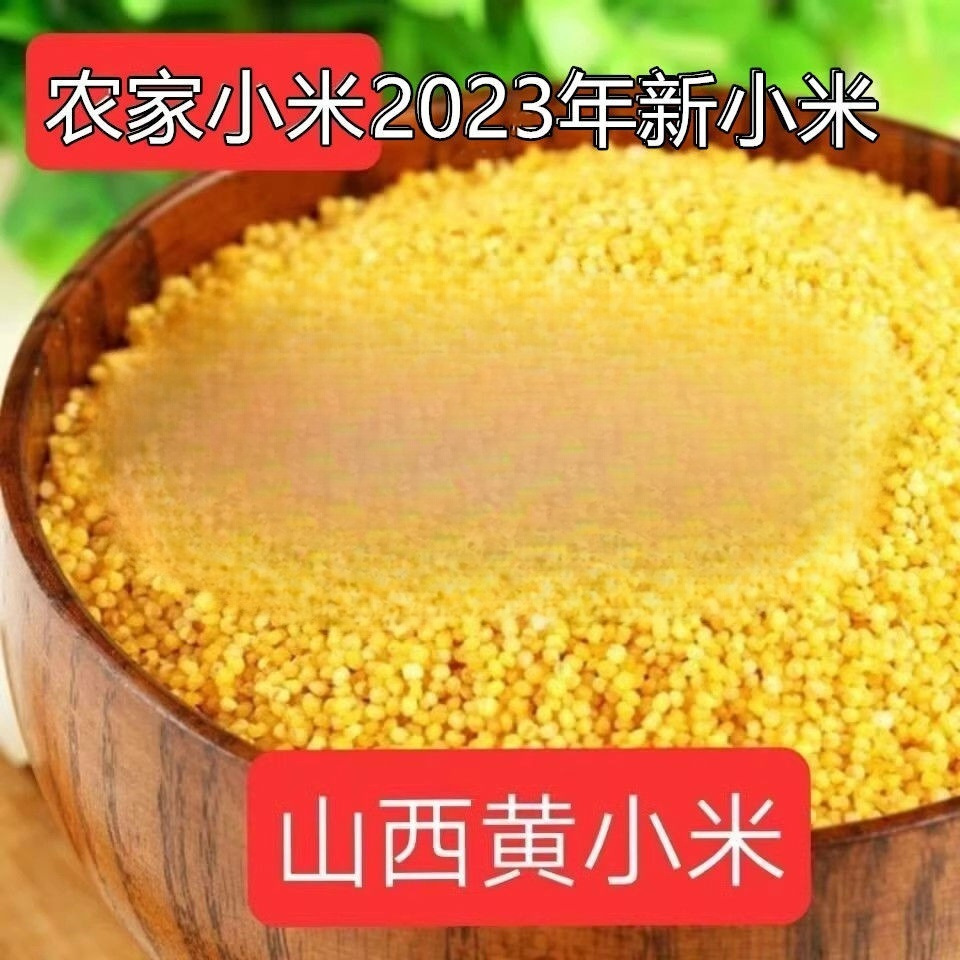 农家小米5斤,山西特产黄小米新米 月子米,养胃小米粥五谷杂粮包邮