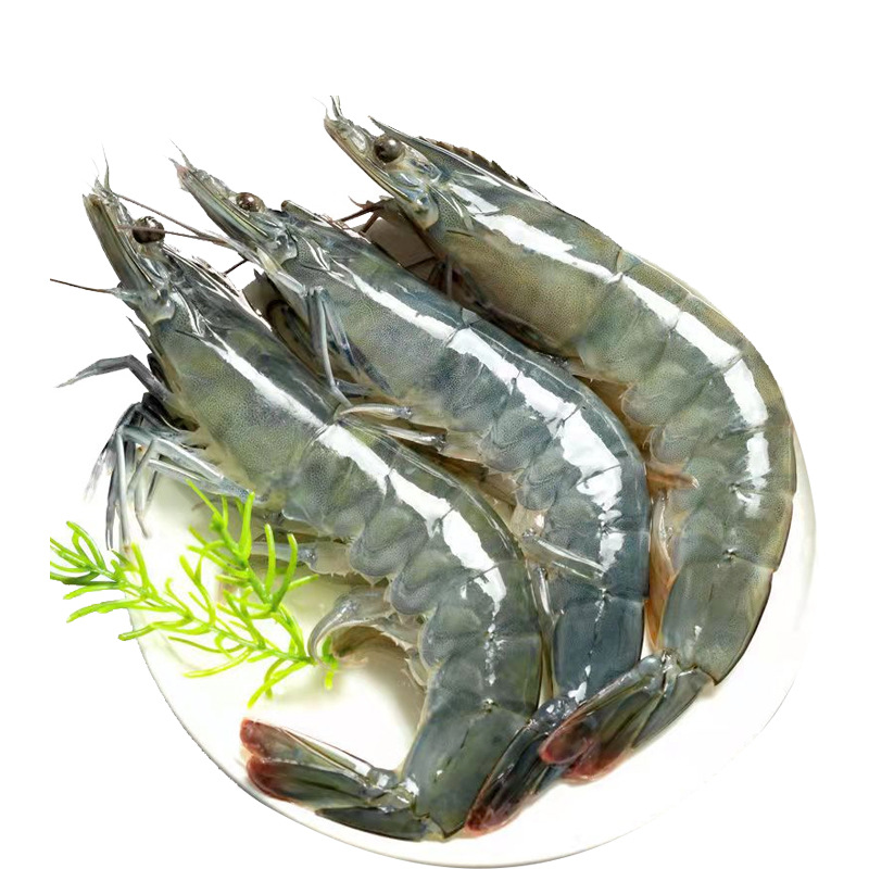 海水大虾鲜活海鲜超大青岛海虾冷冻白虾冻虾商用整箱批发基围虾