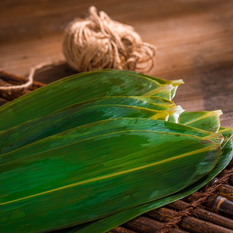 [Fresh-Keeping Cast Leaves] Cast Leaves Wholesale Batch of Fresh Zongzi Leaves Bamboo Leaves for Dragon Boat Festival