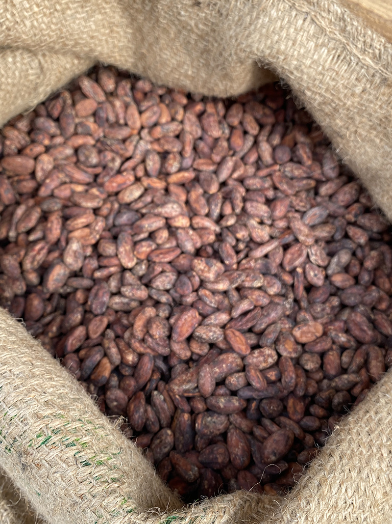 巴西可可豆-巴西可可豆厂家,品牌,图片,热帖-阿里巴巴