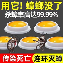 蟑螂药家用一窝端屋神器灭大小通杀饵胶厨房卧室捕捉器无毒除杀死