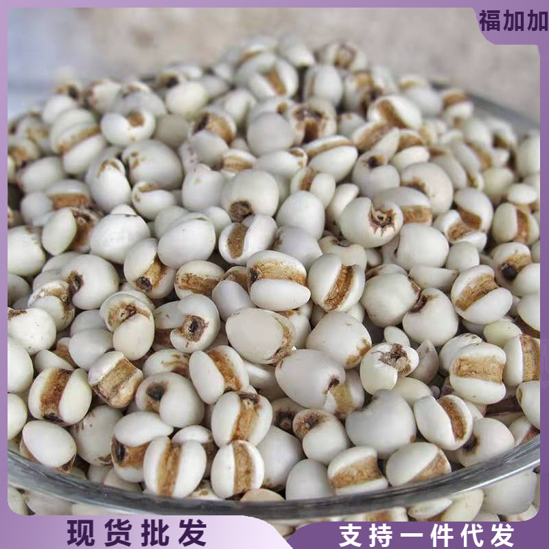 2023云南小薏米新鲜优质新货薏仁薏苡仁薏米五谷杂粮粗粮500g特产