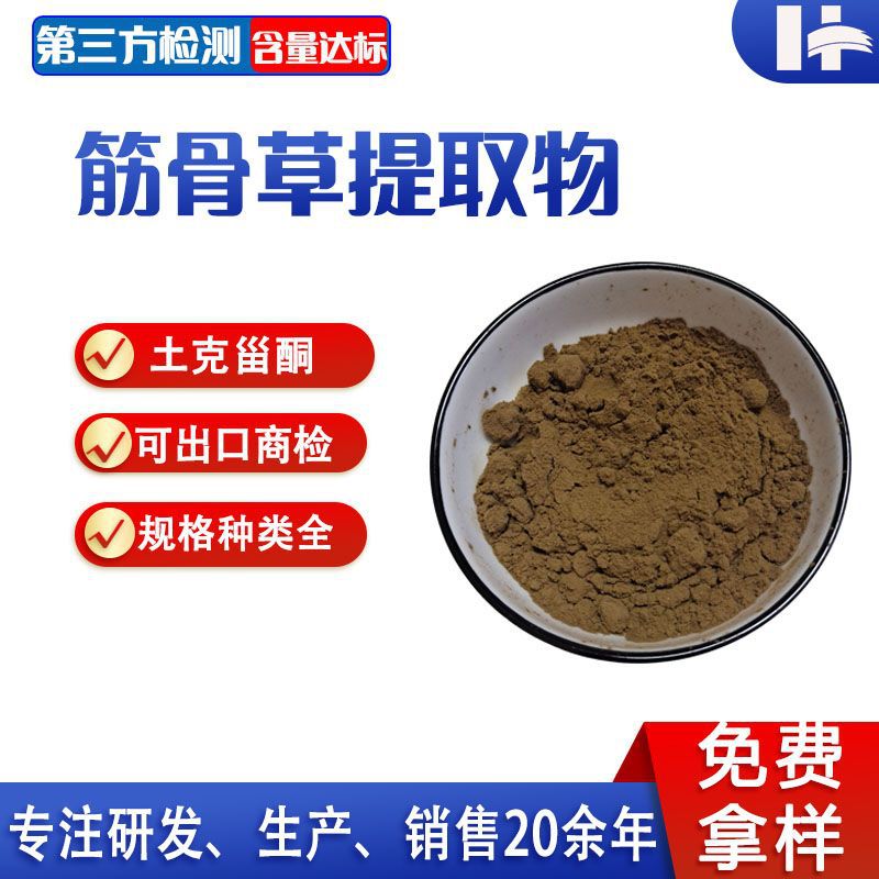 筋骨草提取物 土克甾酮 2%--40%土克甾醇 新疆筋骨草粉 新阳禾
