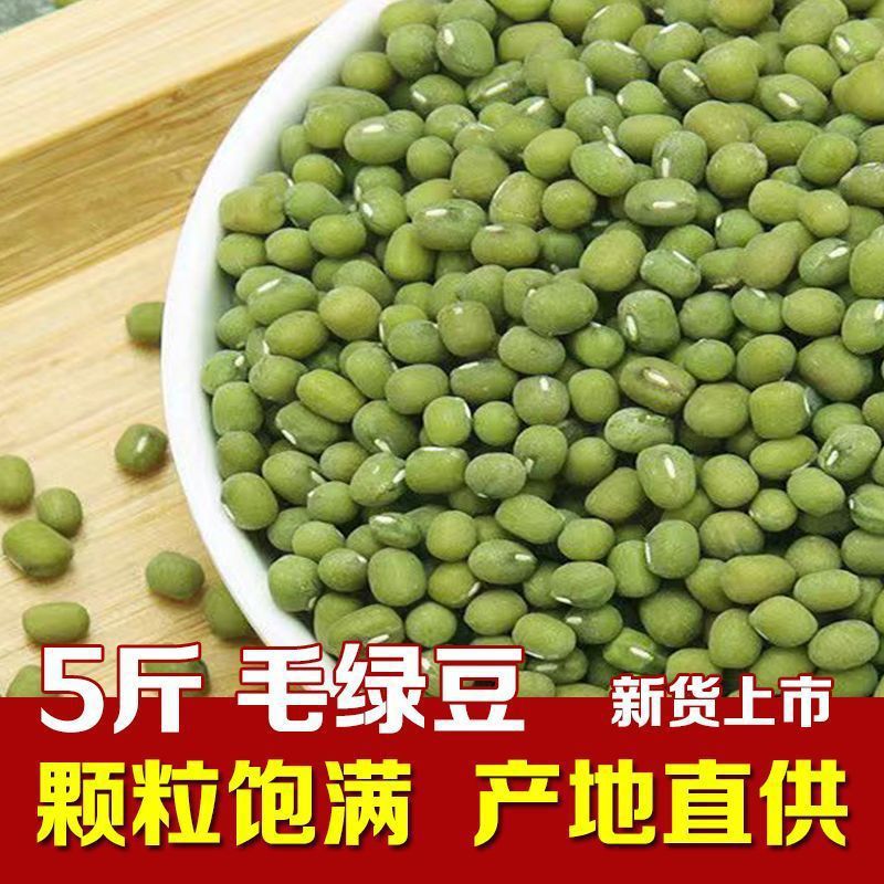 绿豆 毛绿豆新鲜大粒老种农生豆芽绿豆汤绿豆沙原生态非转基因