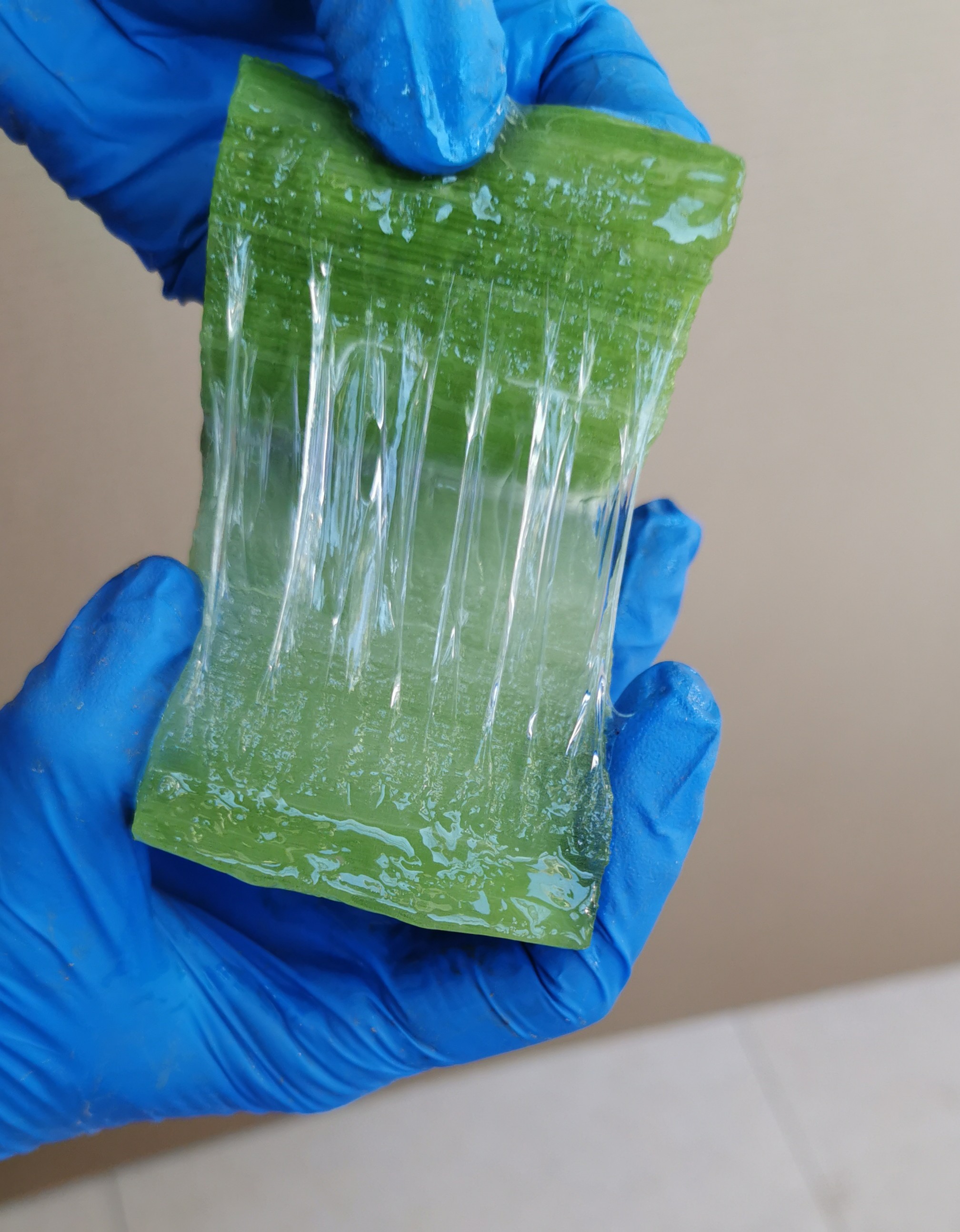 美国库拉索芦荟盆栽植物基地有机种植新鲜食用芦荟叶美容院用灌肤