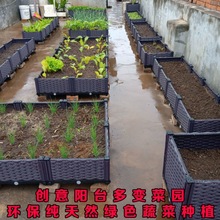 种菜箱生产批发种植箱阳台蔬菜种植塑料长方形盆专用菜盆特大花槽