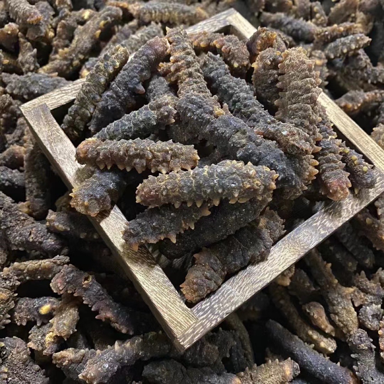 印尼刺王参印尼刺王参 刺参 刺黄参 印尼海参淡干海参干货