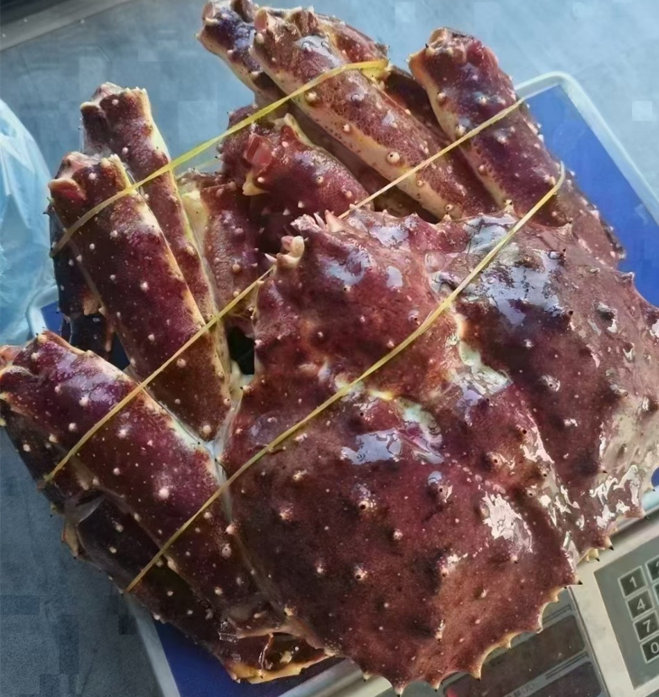 帝王蟹鲜冻