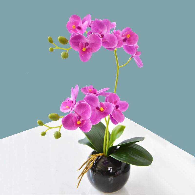 Flower Ornaments Phalaenopsis Small Pot Plant Fake Flower Living Room Desktop Hallway Flower Green Plant Decoration Youjing