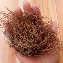 中药材红毛七云南红毛七红毛漆类叶牡丹鸡骨升麻金丝七一斤一袋