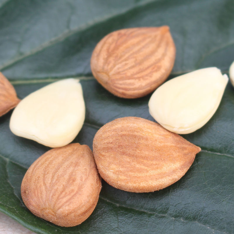 9成交17件整箱10斤5kg坚果零食杏仁巴旦木奶香手剥扁桃仁巴旦木跨境