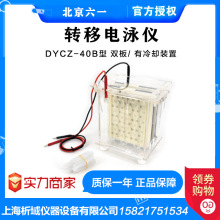 北京六一DYCZ-40B转移电泳仪(中号)