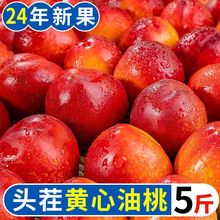【彩箱】山东黄心油桃2.8斤新鲜水果当季整箱孕妇水密黄肉脆桃