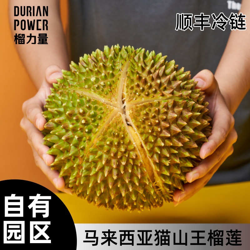 马来西亚猫山王d197榴莲液氮aa果a果ab果4头5头6头7头8头整箱批发